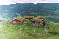 Aandehaugen